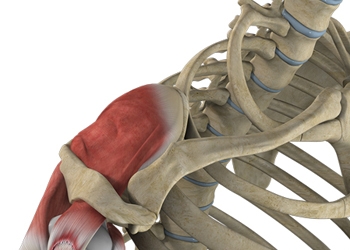 Partial Thickness Rotator Cuff Tears